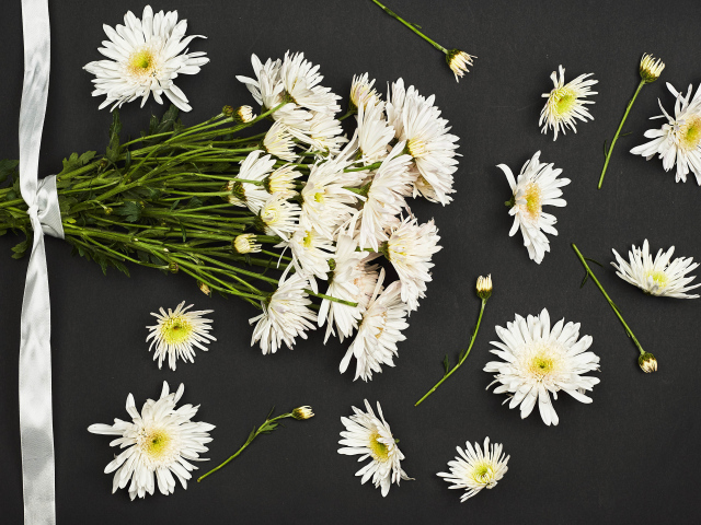 Букет белых хризантем на черном фоне