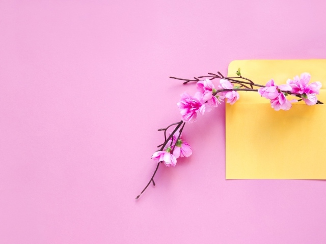 Ветка с цветами в желтом конверте на розовом фоне