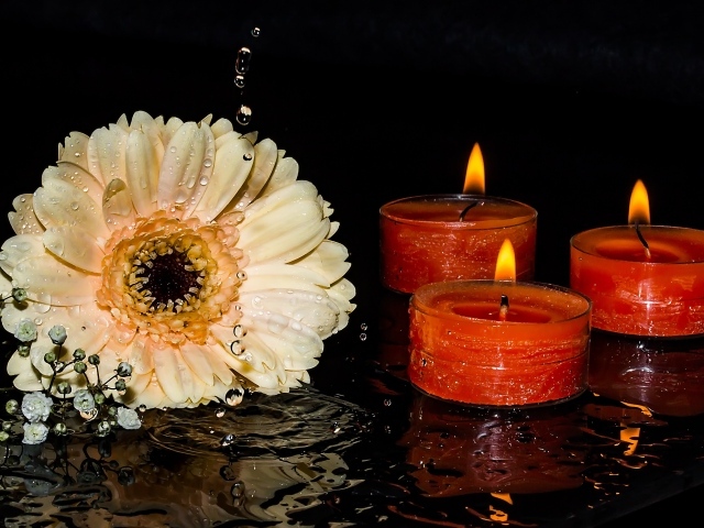 Кремовая гербера со свечами на мокром столе