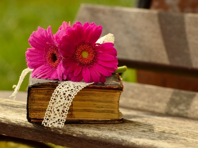 Цветы герберы со старой книгой на лавочке