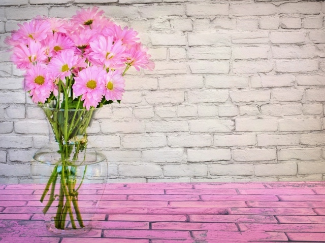 Розовые цветы хризантемы в стеклянной вазе на фоне стены