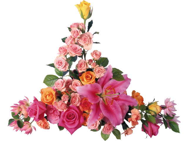 Розовые розы с лилиями на белом фоне 