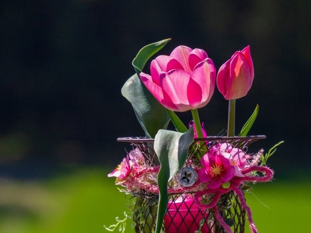 Розовые тюльпаны в железной корзинке крупным планом