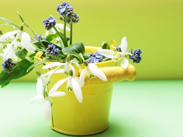 Маленькое желтое ведерко с весенними цветами