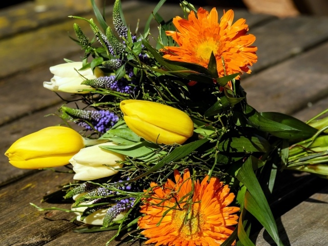 Цветы тюльпана с герберами на лавке