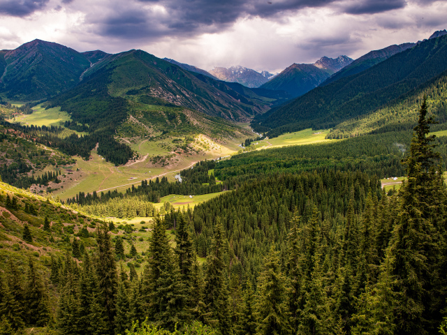 Зеленые ели покрывают высокие горы 