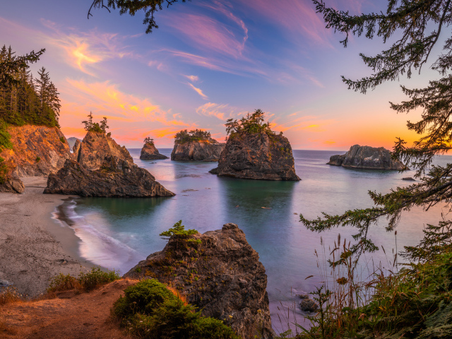 Каменные глыбы с деревьями на побережье в воде 