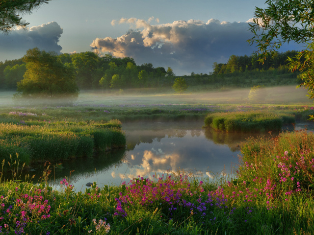 Туман над полем у реки на рассвете 