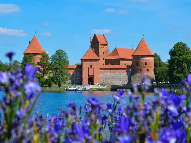 Вид на старую крепость у озера с цветами ириса