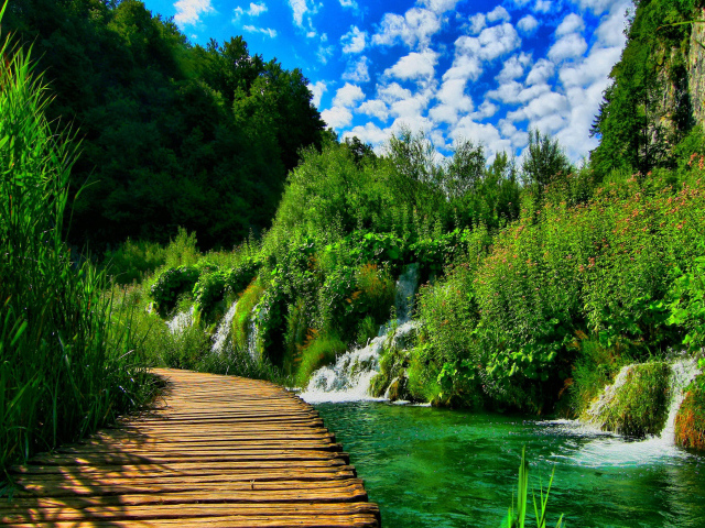 Деревянный мост в живописном зеленом лесу с водопадами