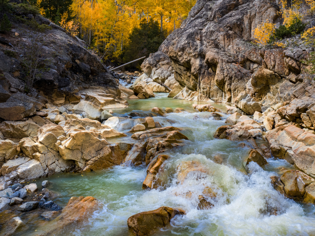 Быстрая холодная горная река бежит по камням