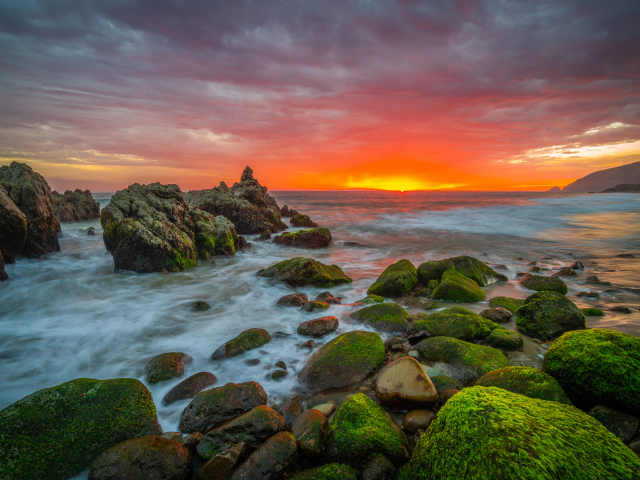 Покрытые зеленым мхом камни на берегу моря