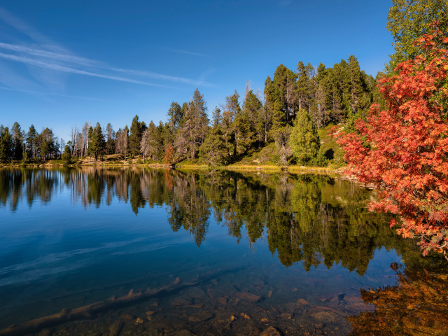 Красивый вид на осенние деревья у озера под голубым небом 