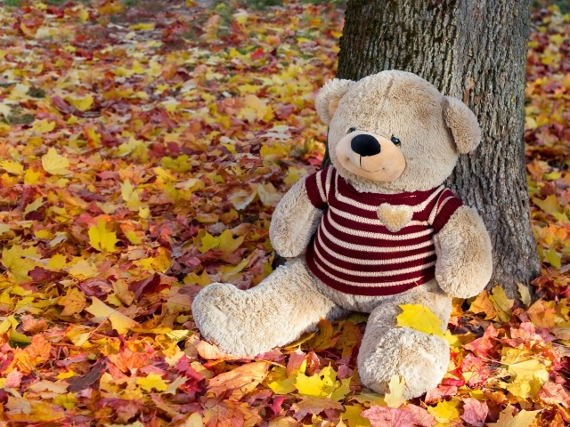 Большой игрушечный медведь сидит на опавших листьях