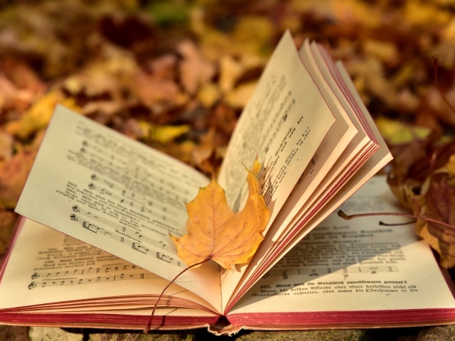 Книга с нотами на земле с опавшими листьями