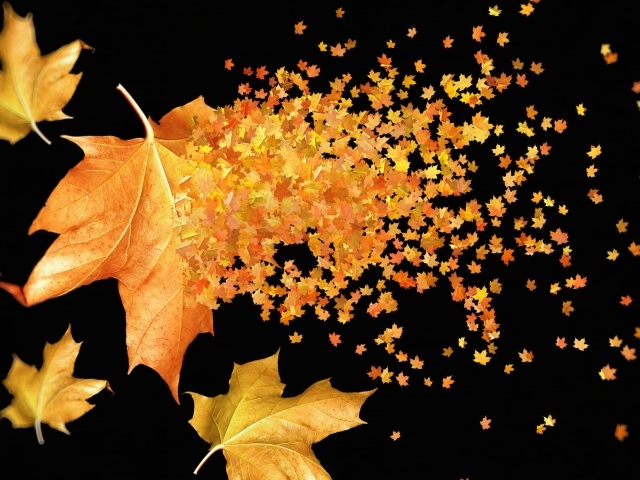 Большие и маленькие желтые листья на черном фоне осенью 