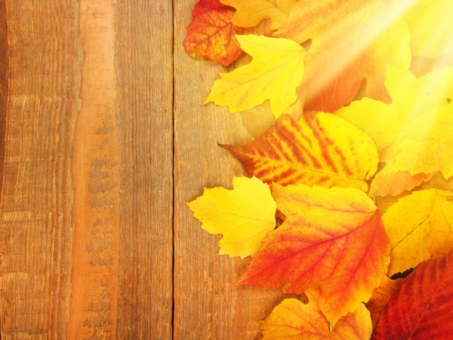 Желтые опавшие листьями на деревянном столе 
