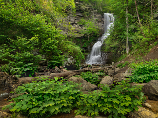 Водопад стекает по камням в национальном парке, США