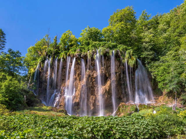 Красивый водопад стекает со склона с зелеными деревьями 