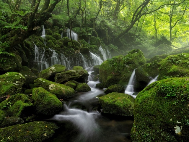 Вода стекает по старым покрытым мхом камням