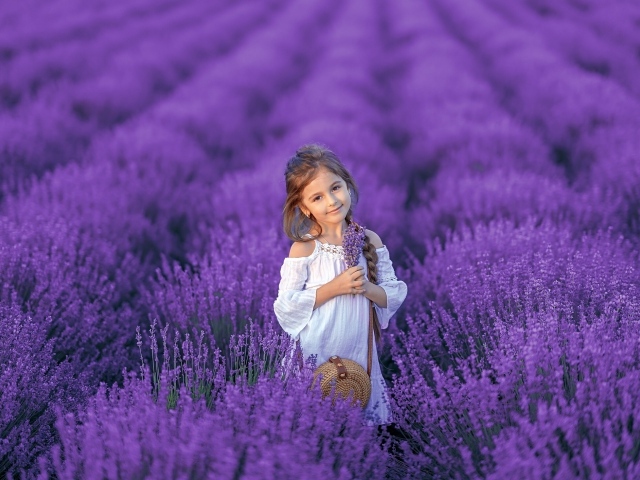 Красивая маленькая девочка на лавандовом поле 