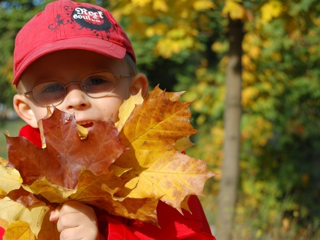 Мальчик в красной кепке с листьями в руках 