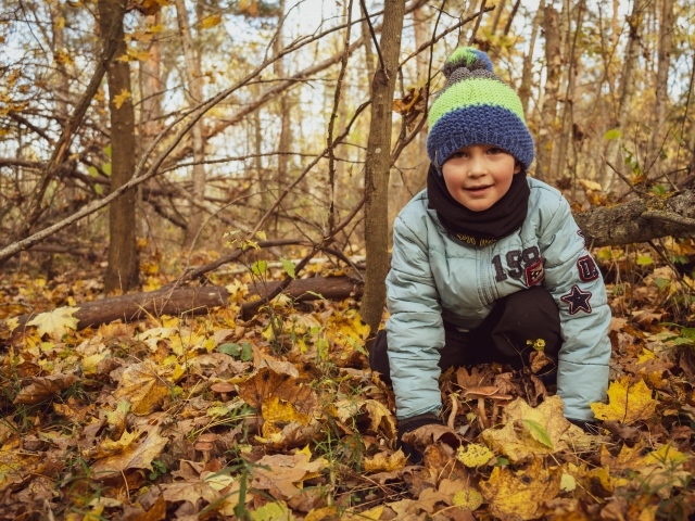 Маленький мальчик в лесу сидит на листве 