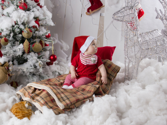 Маленький ребенок в санках возле наряженной ели