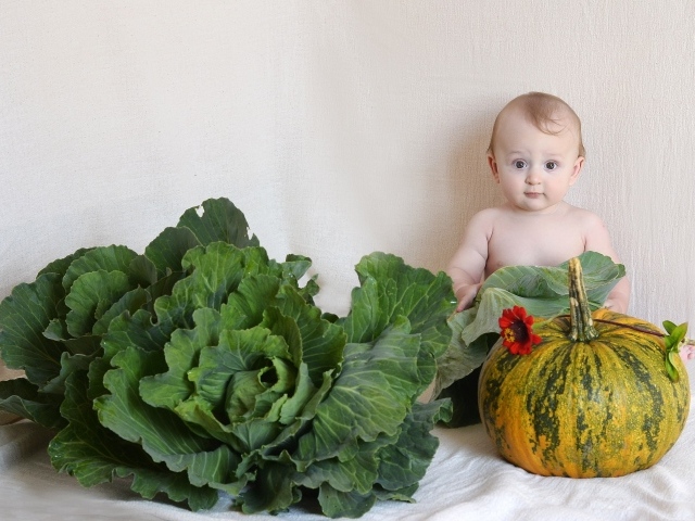 Маленький ребенок с  тыквой и капустой у стены