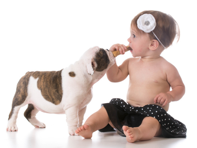 Маленькая девочка с милым щенком на белом фоне