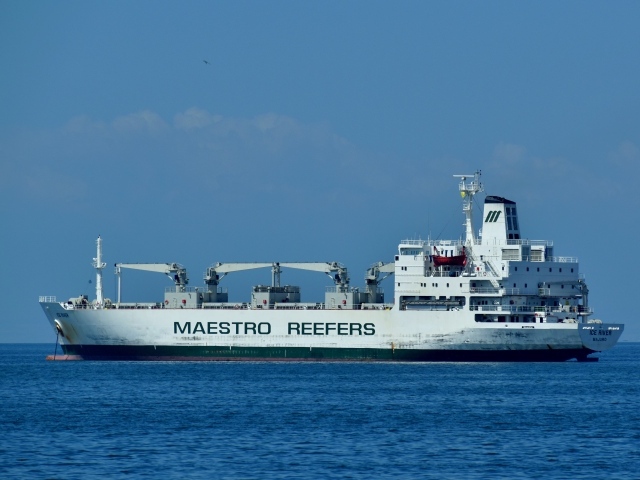 Грузовое судно MAESTRO REEFERS в море 