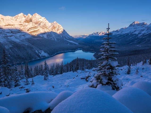 Красивый вид на зимний Национальный парк Банф, Канада