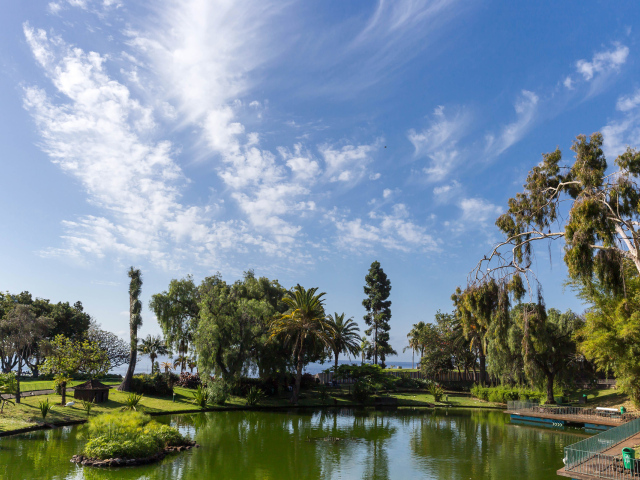 Красивое голубое небо над парком, Португалия