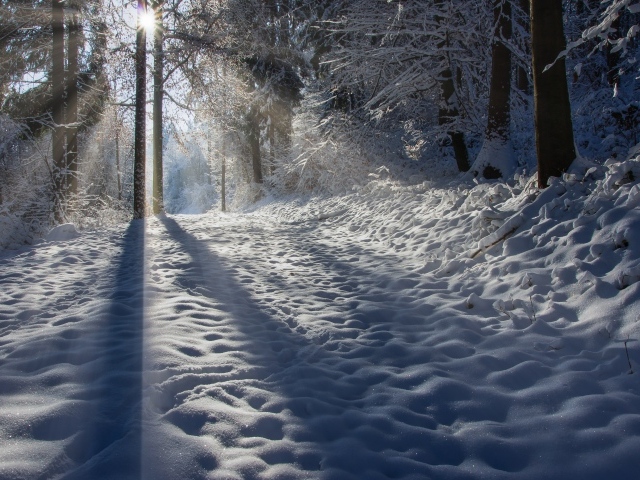 Лучи солнца освещают заснеженную дорогу 