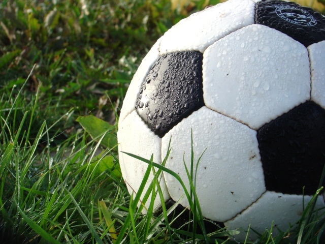 Мокрый футбольный мяч лежит на зеленой траве 