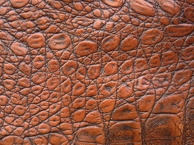 Коричневая кожа крокодила крупным планом, фон