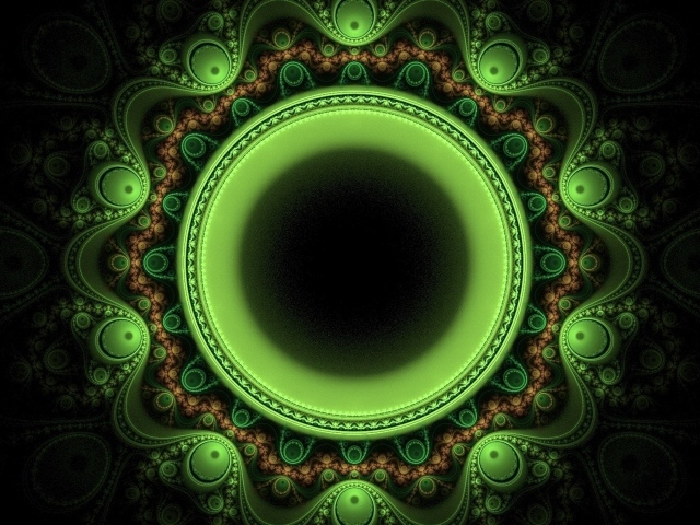 Зеленый лайм на ветке в каплях воды