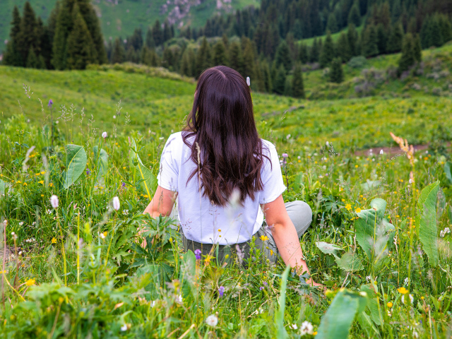 Красивая молодая девушка сидит на поле с зеленой травой