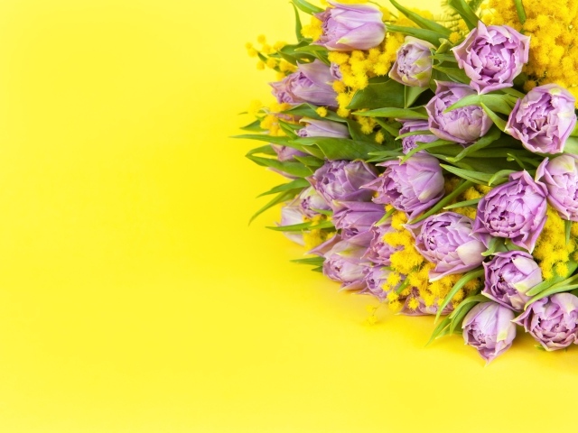 Букет тюльпанов с мимозой на желтом фоне, шаблон на 8 марта