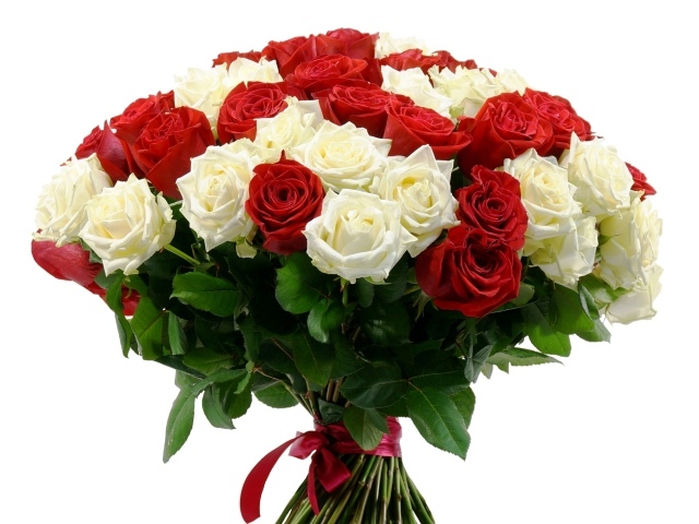 Большой букет красных и белых роз на 8 марта