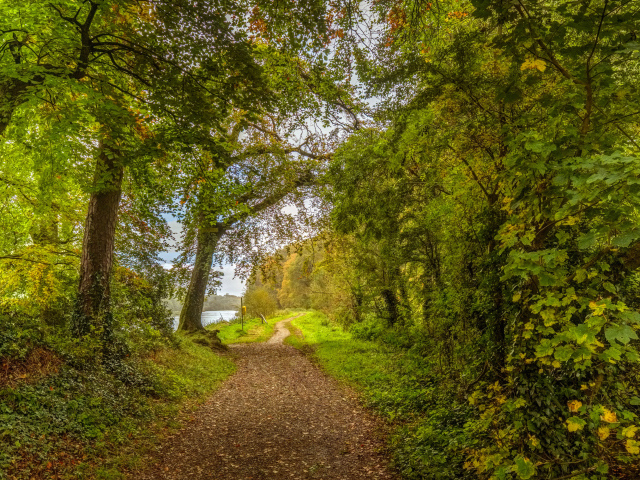 Красивый парк с зелеными деревьями у реки