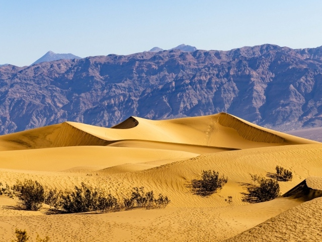 Красивые песчаные дюны у гор под голубым небом 