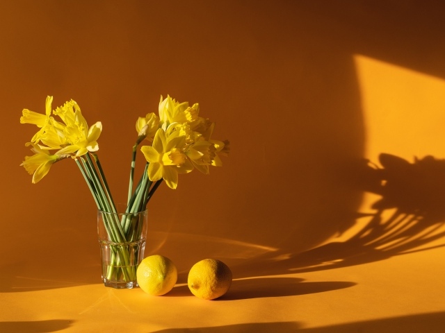Букет желтых нарциссов с лимонами на столе