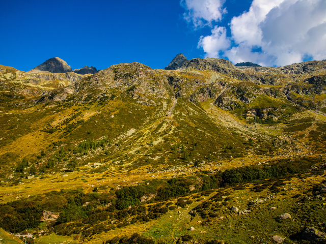 Покрытые зеленью Швейцарские альпы под голубым небом
