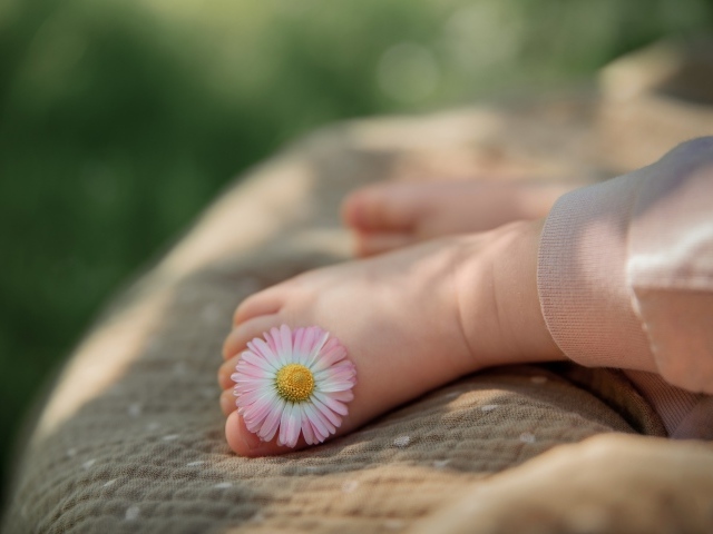 Нога ребенка с цветком маргаритки