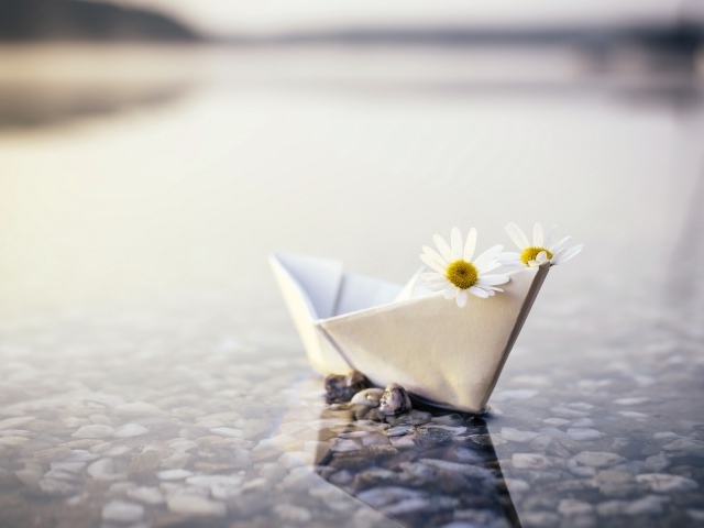 Бумажный кораблик в воде с ромашками