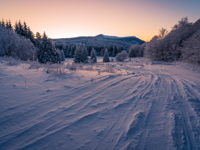 Дорога на снегу в зимнем лесу 