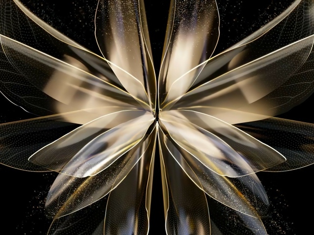 Красивый абстрактный цветок на черном фоне