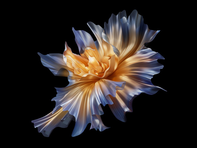 Красивый абстрактный белый цветок на черном фоне