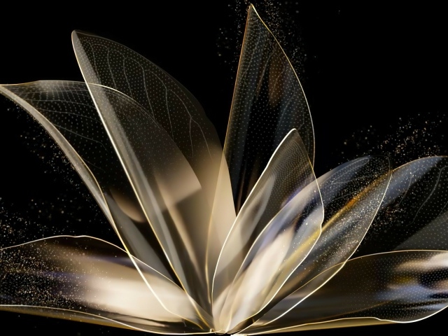 Распустившийся абстрактный цветок на черном фоне